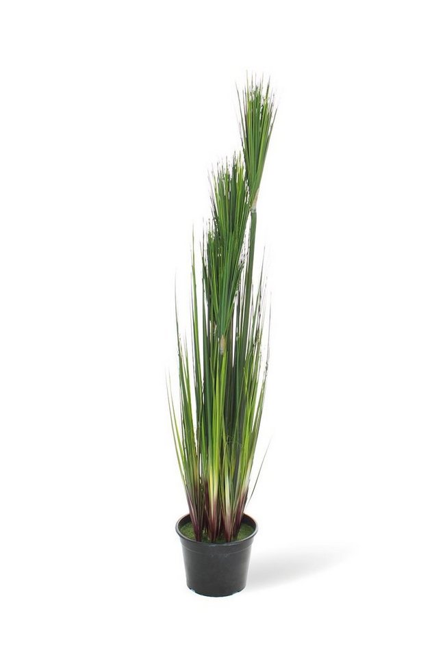 Kunstpflanze Zwiebelgras Kunstpflanze, dicht gewachsen, 122 cm, Zwiebelgras, fleur ami, Höhe 122 cm von Fleur Ami