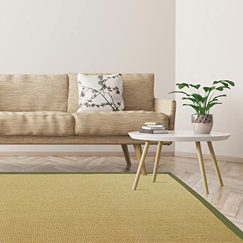 Floordirekt Premium Sisal-Teppich Amazonas | Natur | Mit verschiedenfarbigen Bordüren | 9 Größen | Wohnzimmerteppich, Naturfaserteppich (Pistazie/Taupe, 160 x 230 cm) von Floordirekt