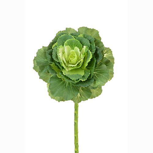 FloristryWarehouse Künstliche adaptabilität gegenüber Ornament Kohl Stiel 46 cm grün von Floristrywarehouse