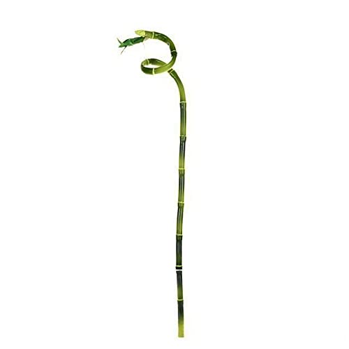 FloristryWarehouse Künstlicher Bambus-Stiel, 61 cm, Grün von Floristrywarehouse