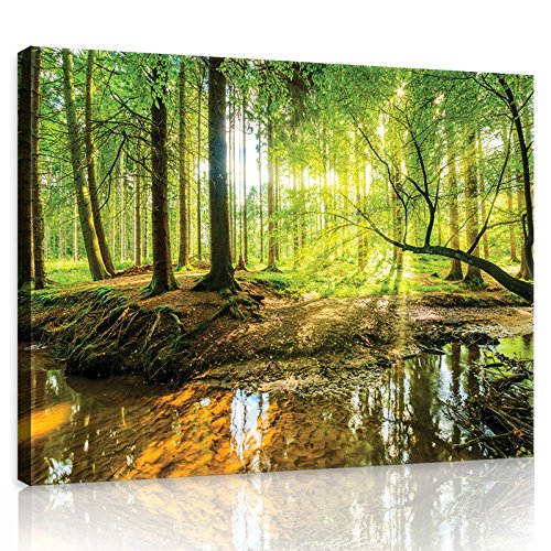 ForWall Leinwandbild Wald Sonniger Wald Grün Natur Landschaft - 100x75cm Leinwandbilder Wandbild Wandbild Bild auf Leinwand Bilder Canvas Wohnzimmer Schlafzimmer von ForWall