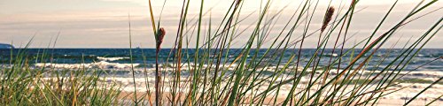 ForWall Fototapete Küche Vlies Tapete Küsten-Gras Wanddeko VEK (250cm. x 60cm.) AMF10669VEK Natur Landschaft Maritim See Meer Ozean Gras von Fototapete Consalnet