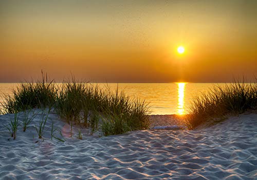 Forwall Fototapete Sonnenuntergang Strand Meer Nordsee Natur Dünen Wohnzimmer Schlafzimmer Vlies Tapete Wandtapete UV-Beständig Montagefertig (11577, V8 (368x254 cm) 4 Bahnen) von Fototapete Consalnet