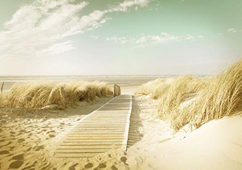 Forwall Fototapete Strand Meer Ostsee Gras beige Natur Dünen Landschaft Wohnzimmer Schlafzimmer Vlies Tapete Wandtapete UV-Beständig Montagefertig (11600, VEXXXL (416x254 cm) 4 Bahnen) von Fototapete Consalnet