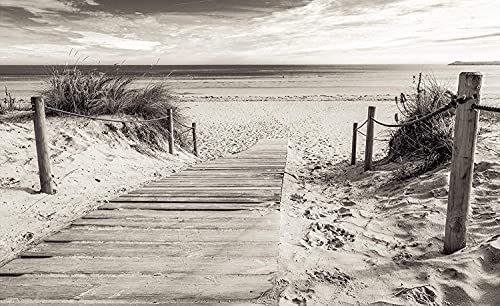 Forwall Fototapete Strand Meer Ostsee Natur Dünen Schwarz Weiß Wohnzimmer Schlafzimmer Vlies Tapete Wandtapete UV-Beständig Montagefertig (2024, V8 (368x254 cm) 4 Bahnen) von Fototapete Consalnet