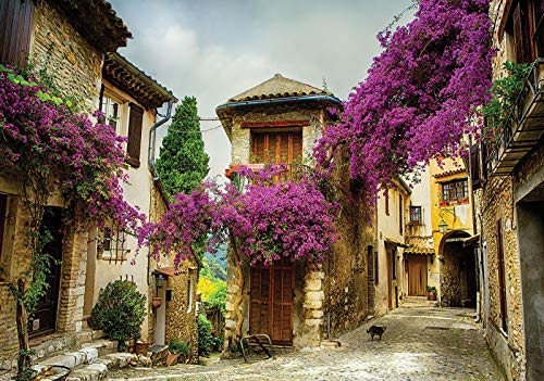 Forwall Fototapete Vlies Tapete Wanddeko Stadt Blumen - Ausblick Stadtpanorama Gasse Italien Moderne Wandtapete Wanddekoration 11755VEXXXL 416cm x 254cm Schlafzimmer Wohnzimmer von Fototapete Consalnet