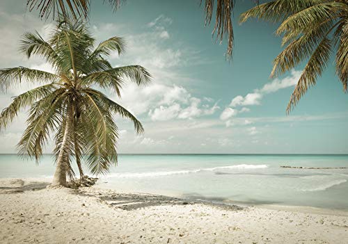 Forwall Fototapete Strand Meer Sand Palmen Tropen Natur Landschaft Wohnzimmer Schlafzimmer Vlies Tapete Wandtapete UV-Beständig Montagefertig (13347, V8 (368x254 cm) 4 Bahnen) von Fototapete Consalnet