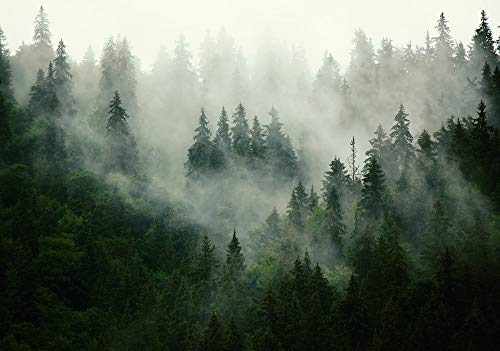 Forwall Fototapete Wald Nebel Natur Bäume Landschaft Skandinavisch Wohnzimmer Schlafzimmer Vlies Tapete Wandtapete UV-Beständig Montagefertig (13026, VEXXL (312x219 cm) 3 Bahnen) von Fototapete Consalnet