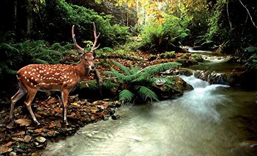 Forwall Fototapete Wald Hirsch Natur Bäume Landschaft Tiere Bach Wohnzimmer Schlafzimmer Vlies Tapete Wandtapete UV-Beständig Montagefertig (147, VEXL (208x146 cm) 2 Bahnen) von Fototapete Consalnet