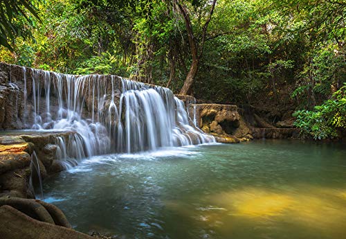 Forwall Fototapete Wald Wasserfall Natur Bäume Landschaft Tropen Wohnzimmer Schlafzimmer Vlies Tapete Wandtapete UV-Beständig Montagefertig (12114, V8 (368x254 cm) 4 Bahnen) von Fototapete Consalnet