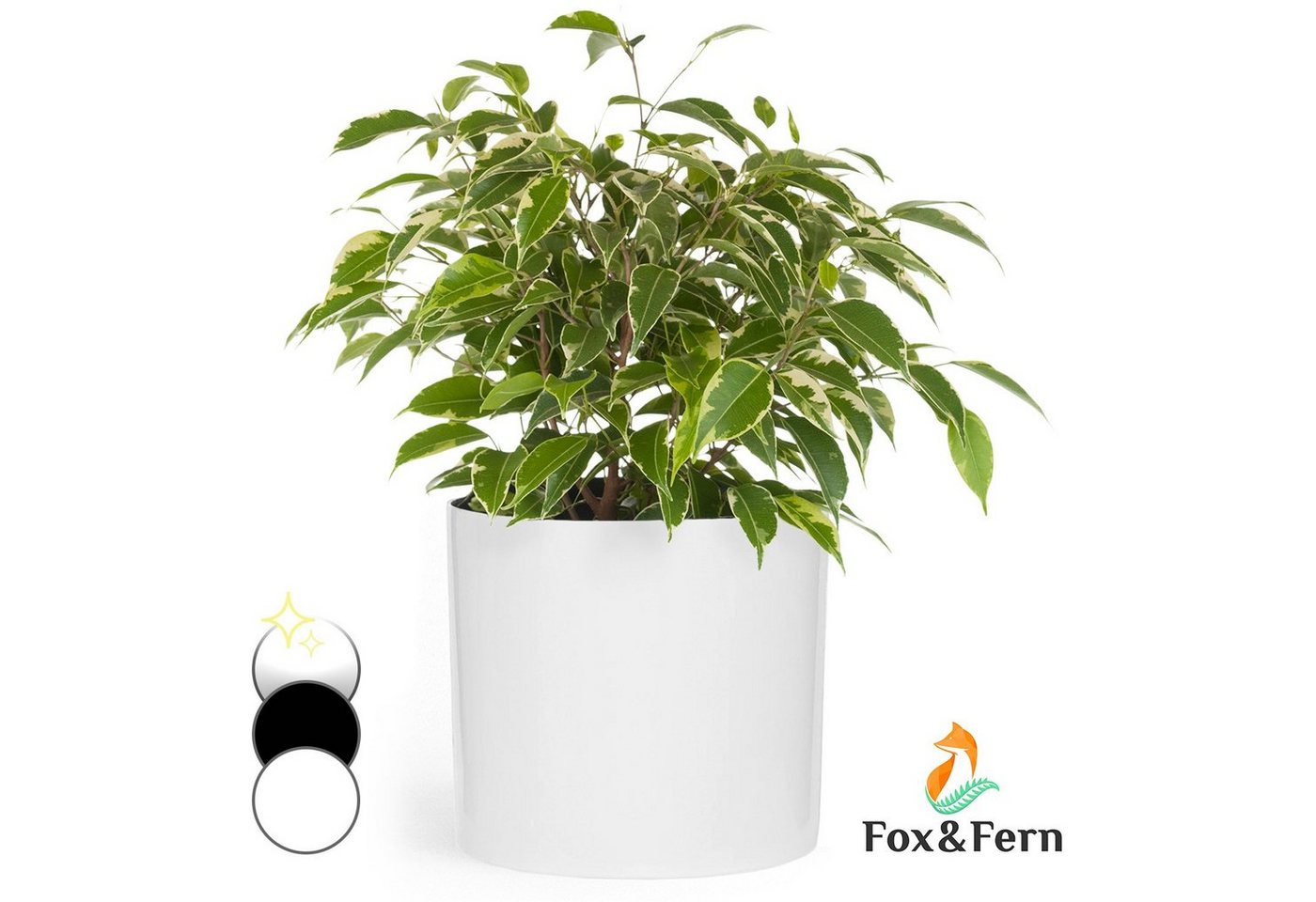 Fox & Fern Hochbeet Gendt Pflanztopf von Fox & Fern