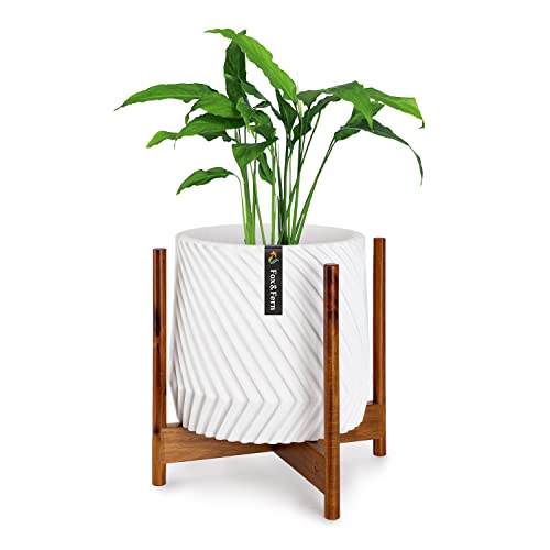 Pflanzenständer (Plant Stand) XL OHNE Übertopf - Blumenständer Holz aus nachhaltiger Akazie- Pflanzenhocker - Pflanzenständer aus Holz - Blumentopf Ständer - zeitloser Blumenhocker aus Holz von Fox & Fern