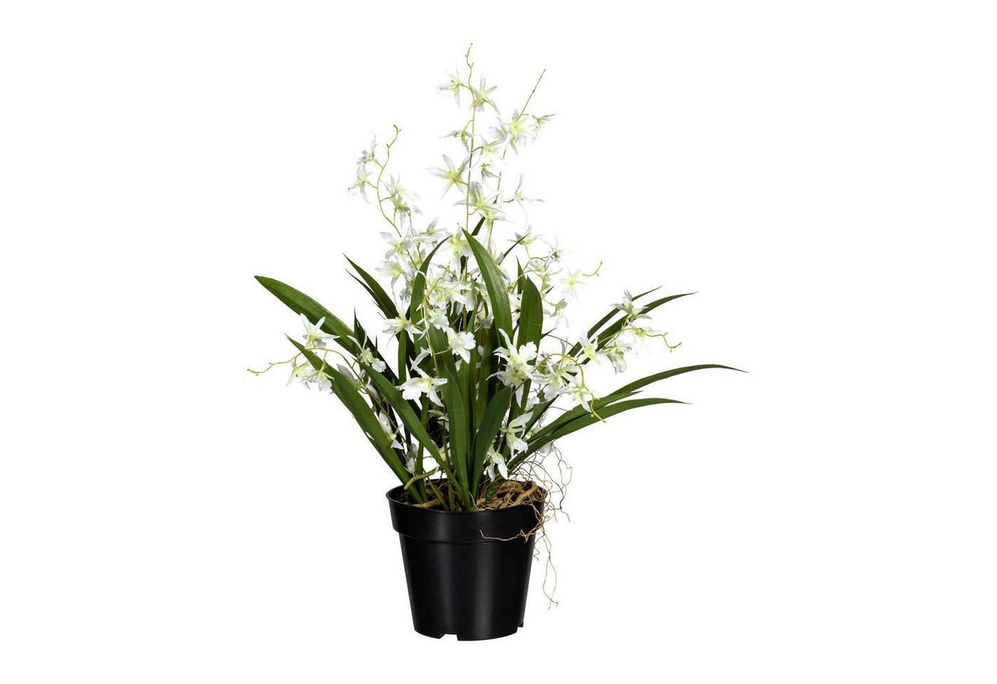Kunstpflanze Künstliche Orchidee Dancing Queen im Topf 60cm in versch. Farben, Fuchs Versand 24/7 von Fuchs Versand 24/7