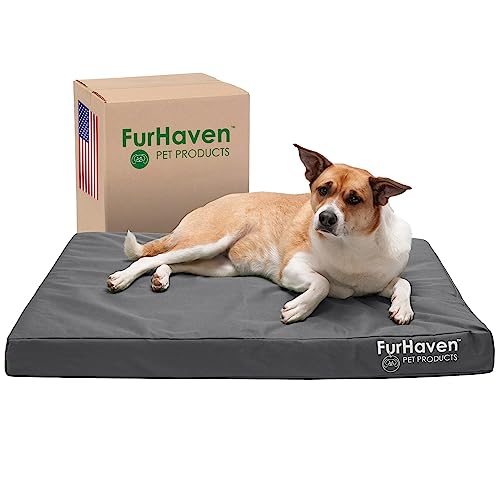 FurHaven Großes Hundebett, kühlend, Gelschaum, wasserabweisend, für drinnen und draußen, Logo-Druck, Oxford-Polycanven-Matratze, mit abnehmbarem und waschbarem Bezug, Steingrau, Größe L von Furhaven