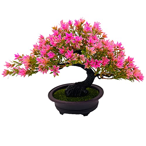 Fycooler 20cm Kunstpflanze Bonsai Baum im Keramiktopf Künstliche Pflanzen Aesthetic Japanische Bonsai Deko für Wohnzimmer Schlafzimmer Badzimmer Fensterbank Dekoration - Podocarpus Kunstbonsai von Fycooler