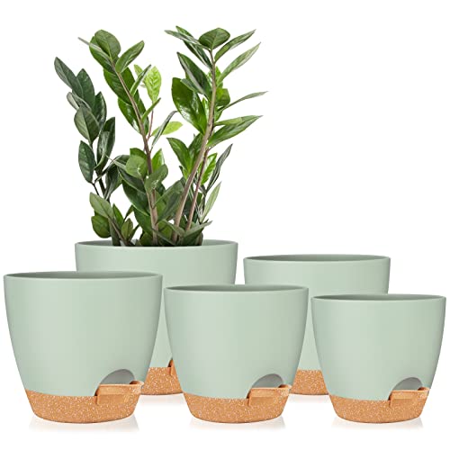 Pflanztöpfe 17.8/16.5/15.2/13.9/12.7cm Zoll GARDIFE Selbstbewässernde Pflanzgefäße mit Ablaufloch, Kunststoff-Blumentöpfe, Kinderzimmer-Blumentopf für alle Zimmerpflanzen, Sukkulenten, grün Pflanztöpfe 17.8/16.5/15.2/13.9/12.7cm Zoll GARDIFE Selbstbewässernde Pflanzgefäße mit Ablaufloch, Kunststoff-Blumentöpfe, Kinderzimmer-Blumentopf für alle Zimmerpflanzen, Sukkulenten, grün von GARDIFE