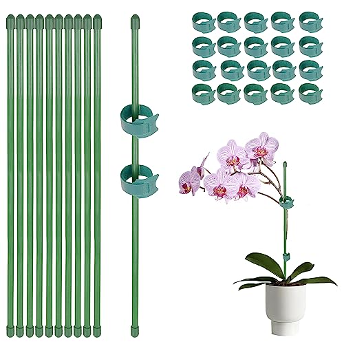 10 Stück 30cm Pflanzenstab mit 20 Stück Pflanzenbinder Orchideen Stäbe Pflanzenstütze Blumenstütze Zimmerpflanzen Pflanzenhalter rankhilfe Pflanzen Stabilisieren Stab Pflanzstab blumenhalter von GEBETTER