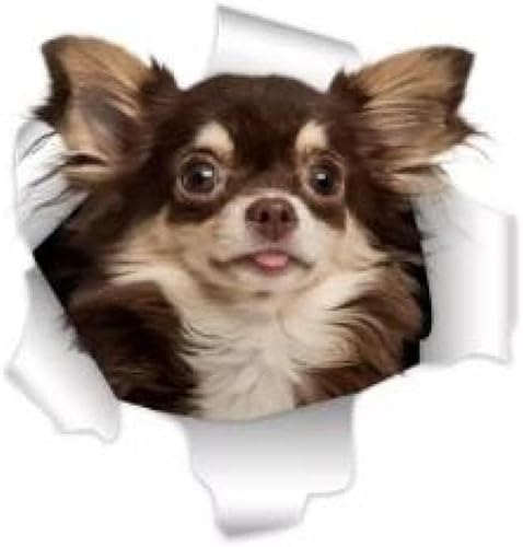 GETIPOTY And Decals 30 Cm 3D-Chihuahua-Hundeaufkleber, Super-Aufkleber An Der Wand, Kühlschrank, Toilette, Auto, Fahrrad (2 Stück) von GETIPOTY