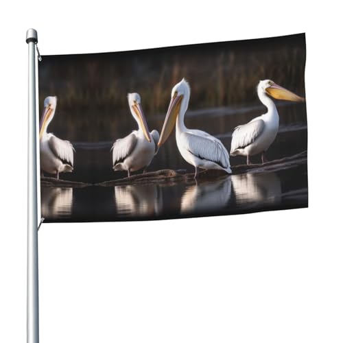 Drei-Pelikan-Flagge, 1,5 x 2,4 m, Banner Dekoration mit 2 Ösen, Außendekorationen, HD-Druck, 200D, strapazierfähiges Polyester-Banner für Urlaub, Hof, große Flaggen für Innen- und Außendekoration von GFLFMXZW