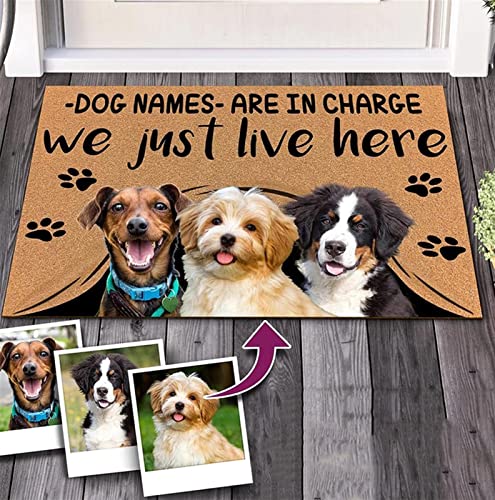 GIBZ Personalisierte Fußmatte mit Hundemuster Innen mit Foto Willkommens Matte für Home Draußen Eingangsteppich, 60 × 40cm von GIBZ