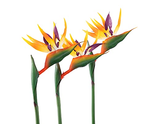 GLSATEMAN Künstliche Paradiesvogelblumen, Gummi-Strelitzie, 81 cm, langer Stiel, 3 Stück, geeignet für DIY-Heimdekoration, Party-Themen-Display (orange) von GLSATEMAN