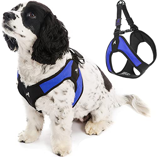 Gooby - Escape Free Easy Fit Hundegeschirr, kleines Hundegeschirr für Hunde, die ihrem Geschirr gerne entfliehen, blau, klein, Small chest (16~19.25") von GOOBY