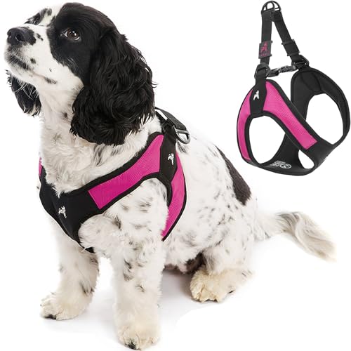 Gooby - Fluchtfreies Hundegeschirr, leicht anzubringendes Geschirr für kleine Hunde, die ihrem Geschirr gerne entfliehen, Hot Pink, XS von GOOBY