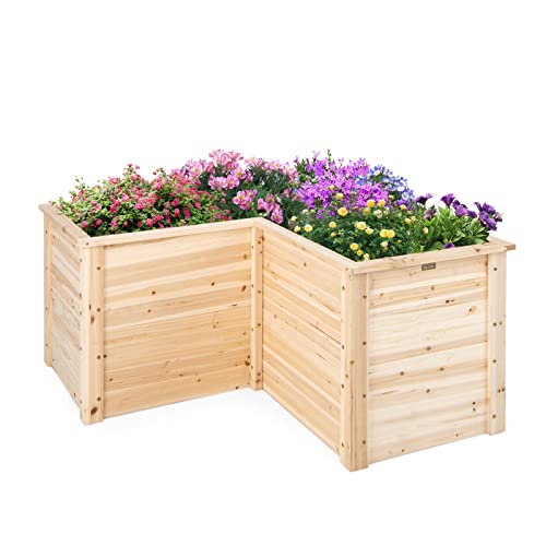 GOPLUS L-förmiges Hochbeet, erhöhter Gartenbeet Pflanzenkasten mit offenem Boden, DIY-Malerei, Kräuterbeet Pflanzenbeet für Balkon & Garten (Natur) GOPLUS L-förmiges Hochbeet, erhöhter Gartenbeet Pflanzenkasten mit offenem Boden, DIY-Malerei, Kräuterbeet Pflanzenbeet für Balkon & Garten (Natur) von GOPLUS