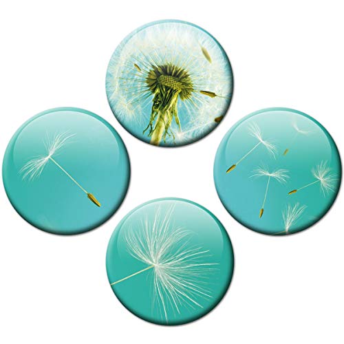 Kühlschrankmagnete Pusteblume 4er Geschenk Set Magnete Blumen für Magnettafel stark groß Ø 50 mm Türkis von GUMA Magneticum