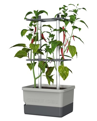 GUSTA GARDEN Charly Chili Chilitopf - Pflanzentopf mit Rankhilfe, Bewässerungssystem & Robustem Rahmen (Hellgrau, Regular) von GUSTA GARDEN