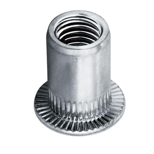 Flachkopf Blindnietmuttern alle Größen - Alu, Stahl-vz, Edelstahl A2 Nietmuttern (Aluminium M10 Klemmbereich 3,0-6,0mm, 20 Stück) Flachkopf Blindnietmuttern alle Größen - Alu, Stahl-vz, Edelstahl A2 Nietmuttern (Aluminium M10 Klemmbereich 3,0-6,0mm, 20 Stück) von Gabex