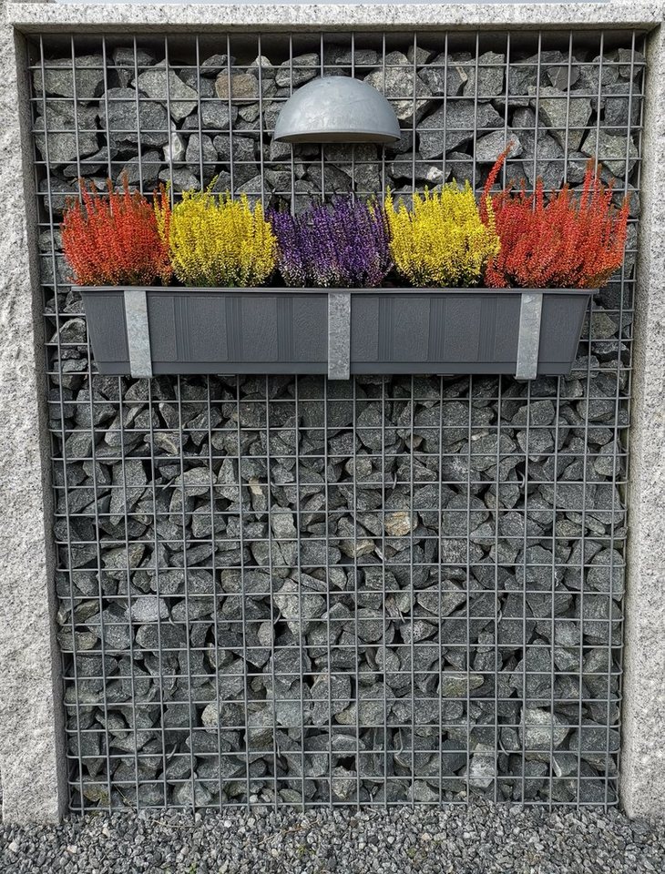 Gabiona Zaunverbinderset Blumenkastenhalter verzinkt im 3er Set inklusive Blumentopf, für, (Blumenkastenhalter verzinkt im 3er Set inklusive Blumentopf, für Gabionen MW 5 x 5) Gabiona Zaunverbinderset Blumenkastenhalter verzinkt im 3er Set inklusive Blumentopf, für, (Blumenkastenhalter verzinkt im 3er Set inklusive Blumentopf, für Gabionen MW 5 x 5) von Gabiona
