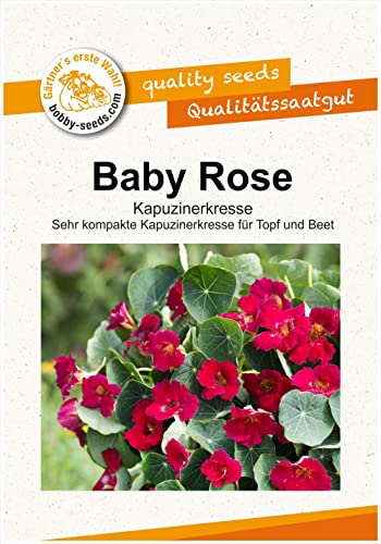 Blumensamen Baby Rose Kapuzinerkresse Portion von Gärtner's erste Wahl! bobby-seeds.com