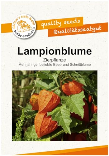 Blumensamen Lampionblume - Physalis Portion von Gärtner's erste Wahl! bobby-seeds.com