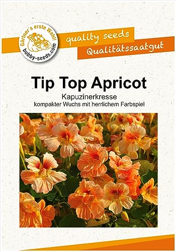 Blumensamen Tip Top Apricot Kapuzinerkresse Portion von Gärtner's erste Wahl! bobby-seeds.com