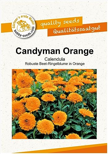 Blumensamen Candyman Orange Calendula Portion von Gärtner's erste Wahl! bobby-seeds.com