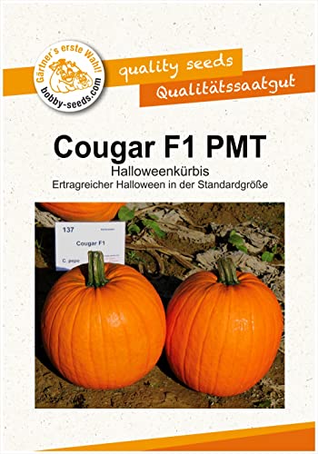 Cougar F1 PMT Kürbissamen von Bobby-Seeds Portion von Gärtner's erste Wahl! bobby-seeds.com