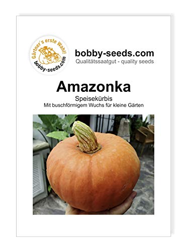 Bobby-Seeds Kürbissamen Amazonka Portion von Gärtner's erste Wahl! bobby-seeds.com