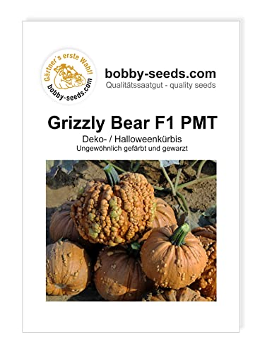 Kürbissamen Grizzly Bear F1 Portion von Gärtner's erste Wahl! bobby-seeds.com