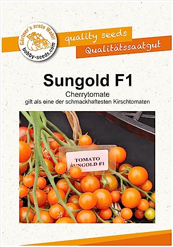 Sungold F1 Cherrytomate Tomatensamen von Bobby-Seeds Portion von Gärtner's erste Wahl! bobby-seeds.com