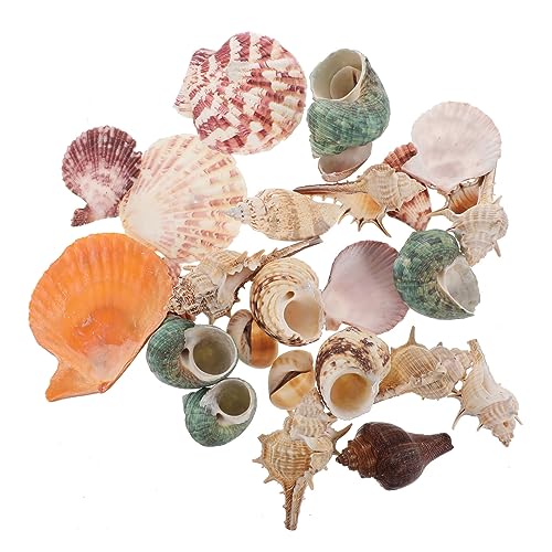 Garneck 1 Packung Muscheldekoration Dekorationen Strand Spiralmuscheln Schalen Für Aquarienlandschaft Fisch Tank Muscheln Ornamente Muscheln Im Aquarium Muschel-Aquarium- Hülse Garneck 1 Packung Muscheldekoration Dekorationen Strand Spiralmuscheln Schalen Für Aquarienlandschaft Fisch Tank Muscheln Ornamente Muscheln Im Aquarium Muschel-Aquarium- Hülse von Garneck