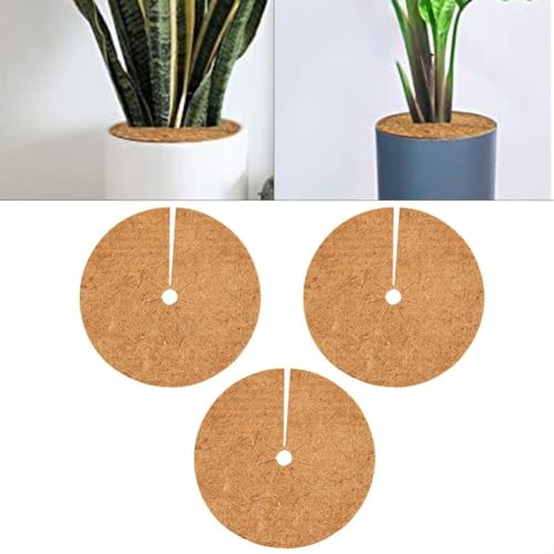 Kokos Pflanzenschutzmatte für nachhaltiges Wachstum und Kontrolle, 3er Set (46cm) von Gbtdoface