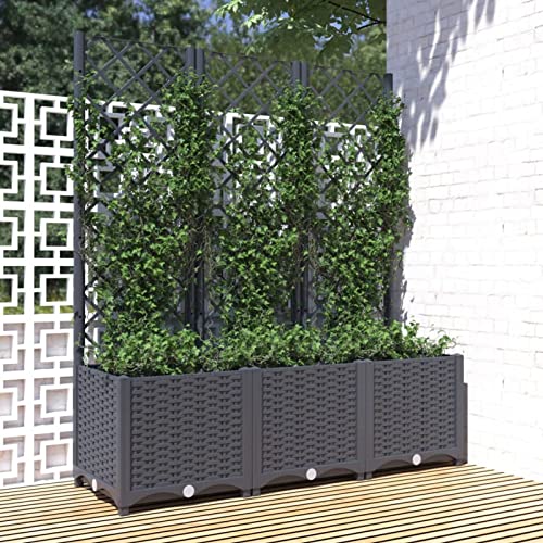 Gecheer Pflanzkübel mit Spalier Blumenkasten Pflanzkasten Blumenkübel Hochbeet Blumenkasten Gartenspalier Rankgitter Rankhilfe Schwarz 80x40x136 cm Polypropylen von Gecheer