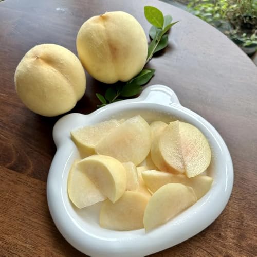 5 pcs Pfirsichbaum Samen - Pfirsichbaum - obstsamen balkongarten obstpflanzen Pfirsichbaum, Prunus persica, samen obst extrem winterharte kübelpflanzen obstsamen bonsai samen hochbeete 5 pcs Pfirsichbaum Samen - Pfirsichbaum - obstsamen balkongarten obstpflanzen Pfirsichbaum, Prunus persica, samen obst extrem winterharte kübelpflanzen obstsamen bonsai samen hochbeete von Generic