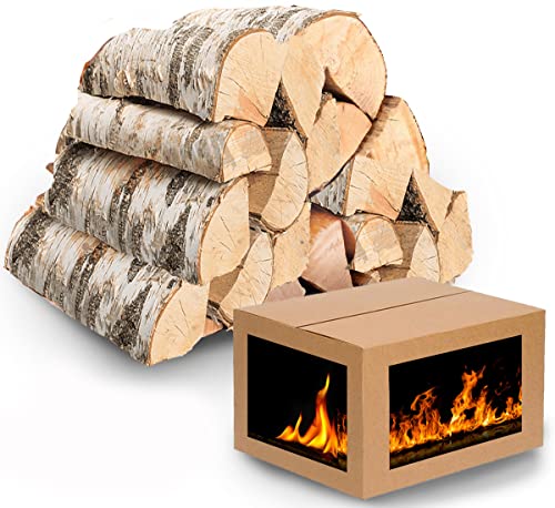 Kammergetrocknetes Holz Brennholz Birke Kaminholz 50 Kg Holzscheite 25 - 33 cm. Birkenholz bis 400 Kg. Feuerholz für Kamin Grill von Generic