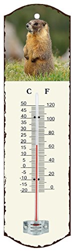 Générique 0501 Thermometer Metall weiß 26,5 x 0,2 x 7,5 cm von Générique