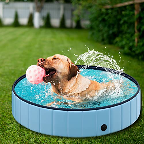 Hundepool für Hunde und Katzen Schwimmbad, Swimmingpool Hund Planschbecken Hundebadewanne, Faltbarer Pool für Hund Katze 80cm/120cm/160cm rutschfest Tragbar Hunde Pool XL 160x30cm von Gismara24