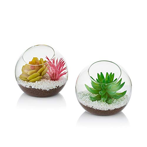 Glasseam Glas-Luftpflanzenterrarium, 10 cm Mini-Terrarium, 2-teilige Tisch-Glas-Terrarium-Behälter, Tischvitrine Topfdekor für Sukkulenten, Kakteen, Kerzen von Glasseam