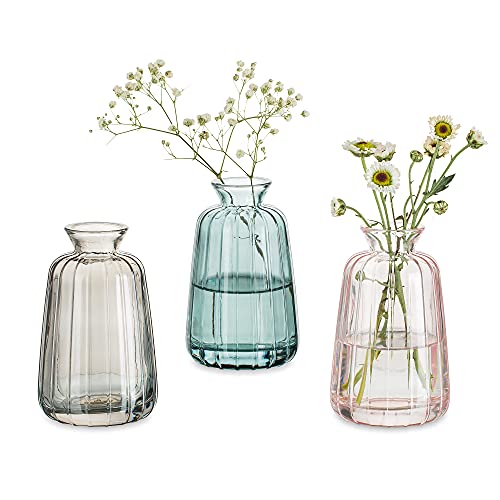 Kleine Vasen Hochzeit Tischdeko Vintage, 3 Teilig Mini Vase Glas Blumenvase Modern Set Schlanke Hydroponic Glasvase Fuer Blumen Deko Hochzeit Tisch Wohnzimmer Couchtisch Badezimmer, Grün + Grau + Rosa von Glasseam