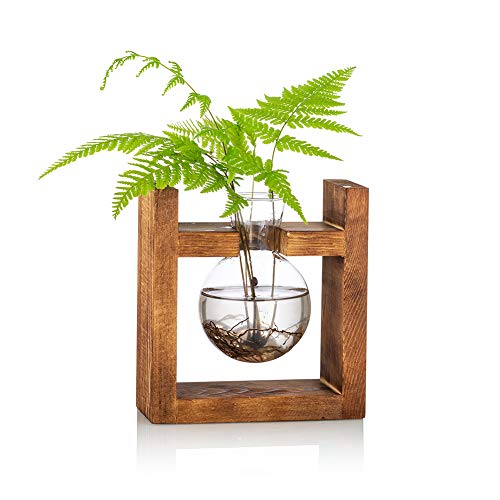 Vermehrungsstation 1 Stück Glühbirne Avocado Vase Glas Eichel Vase Für Blumen Terrarium Jar Pflanzgefäß Mit Holzregal Standhalter Für Grünwasserpflanzen Fit Für Home Kitchen Table Desk Indoor Decor von Glasseam